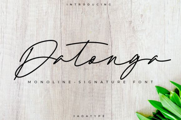 Exploring Datonga: A Versatile Script Font for Branding