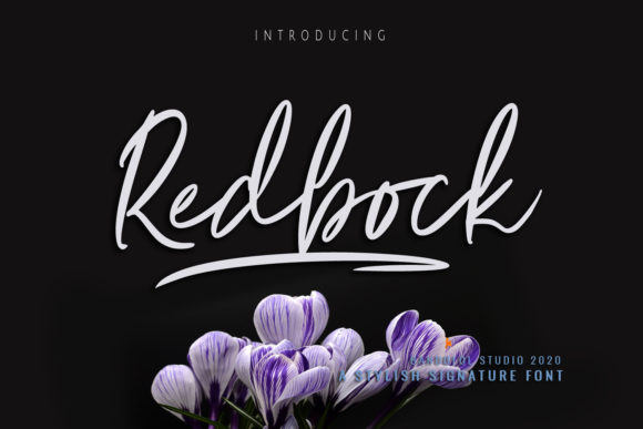 Redbock: A Handwritten Font for Elegant Branding