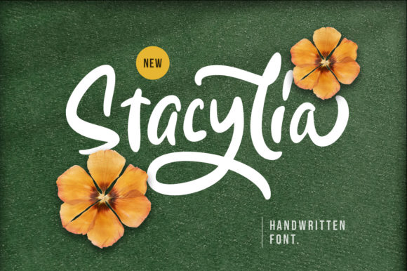 Stacylia: The Perfect Handwritten Font for Your Brand