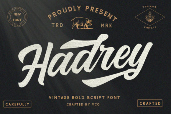 Transform Your Brand with Hadrey: A Unique Handwritten Font